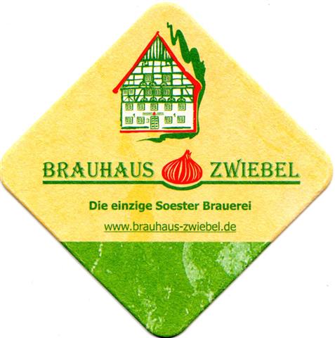 soest so-nw zwiebel raute 2a (185-das einzige-haus kleiner)